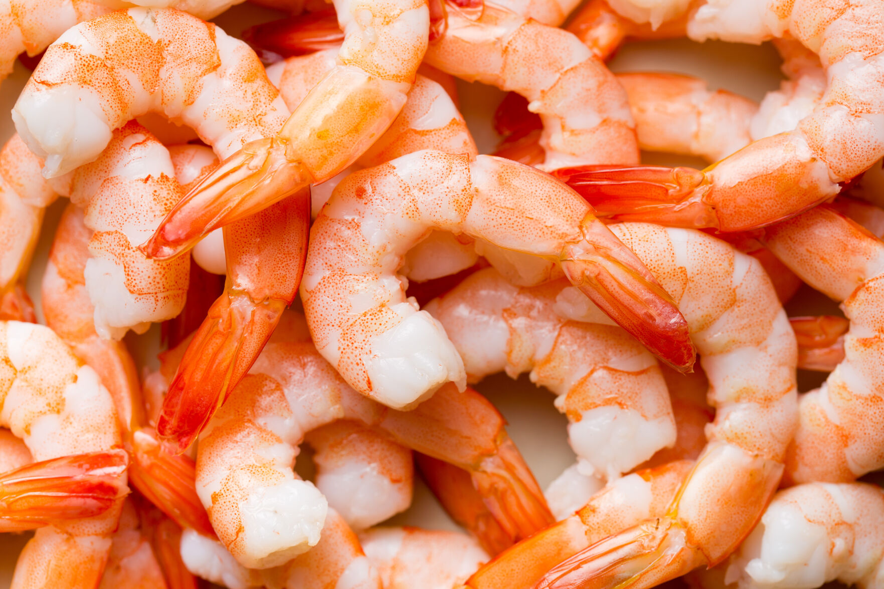 Event at Shucks focuses on shrimp